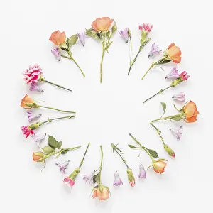 Diverse Flower Arrangements Prints: Round frame from different flowers table