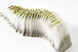 Still Life Studio Shots Prints: A row of teabags