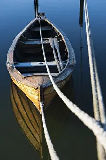 Rowing Boat Germany Prints: Rowing boat with oars, secured with dew
