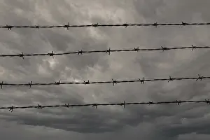 Rainy Weather Forecast Prints: Four rows of barbed wire