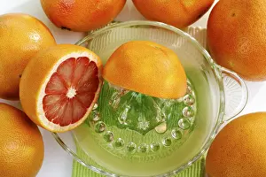 Studio Fruit Photography Prints: Ruby grapefruit with citrus press