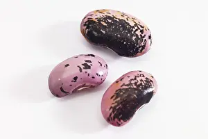 Healthy Eating Vegetables Prints: Runner Beans (Phaseolus coccineus)