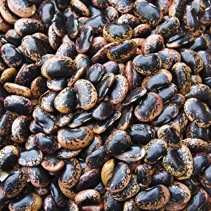 Full Frame Food Photography Prints: Runner Beans (Phaseolus coccineus)