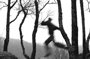 Forest Landscape Photography Prints: Running in the woods