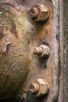 Industrial Plant Prints: Rusted nut and bolt
