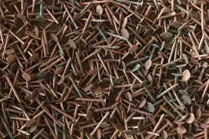 Uninhabited Metal Landscape Prints: Rusty copper nails