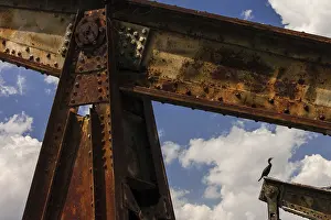 Deserted Building Prints: A rusty structure with a bird perched on it under a blue sky with clouds in Windsor