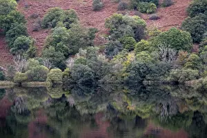 United Kingdom Travel Photography Prints: Rydal Water, Reflection, Grasmere