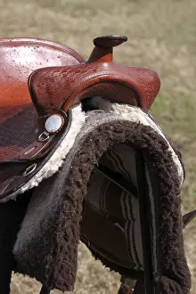Equestrian Sports Equipment Prints: Saddle