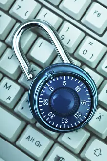 Computer Security Prints: Safety