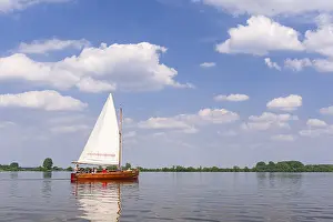 Sailing Boat Germany Prints: Sailing boat on Dummer See