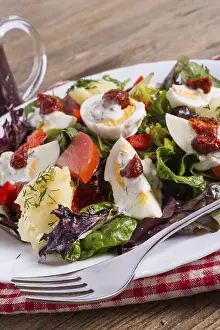 Healthy Vegetable Dish Prints: Salad with boiled egg