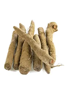 Empty Studio Backgrounds Prints: Salsify