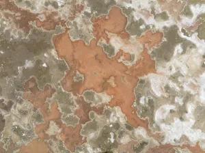 Skeleton Coast Aerial View Prints: Salt marsh at the Skeleton Coast