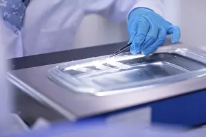 Medical Examination Process Prints: Sample processing with laboratory equipment in a histology laboratory