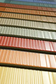 Ornate Interior Space Prints: The samples of collection multicolored linoleum