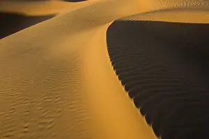 Empty Quarter UAE Prints: Sand dune crest, light and shadow