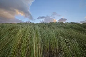 Deserted Sand Dune Prints: Sand dune, dune grass, wind, clouds