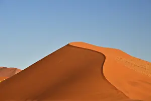 Blue Sky Nature Reserve Prints: Sand dune in the evening light