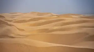 African Nature Reserve Prints: Sand dunes with wave patterns, dune sea