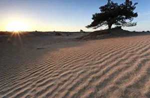 Deserted Dutch Landscape Prints: Sand pattern in morning sunshine