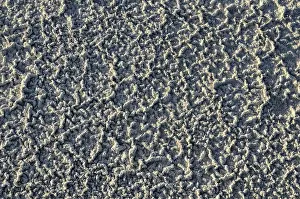 American Desert Scene Prints: Sand pattern with salt deposits