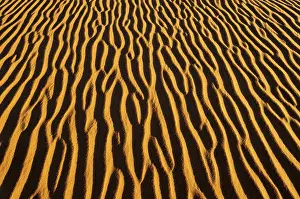 Full Frame Desert Scene Prints: Sand patterns on a dune, In Tehak region