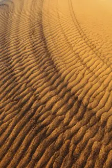 Sand Dune Patterns Prints: Sand patterns on the surface of a dune