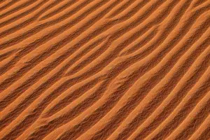 Sand Dune Patterns Prints: Sand ripples, structure on a sanddune