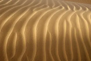 Sahara Desert Landscape Prints: Sand ripples, surface of a dune