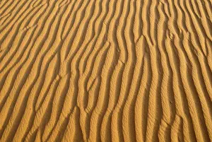 North Africa Landscapes Prints: Sand ripples, surface of a dune