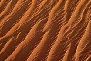 Sahara Desert Surface Structure Prints: Sand ripples, texture on a sanddune