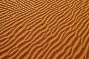 Uninhabited Sand Dune Landscape Prints: Sand ripples, texture on a sanddune