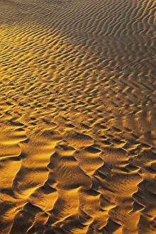 Empty Quarter Desert Scene Prints: Sand structure formed by the wind