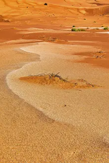 Arabian Peninsula Desert Prints: Sand structure formed by the wind