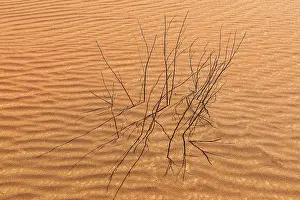 Rub Al Khali Desert Prints: Sand structure formed by the wind
