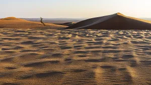 Wind Shaped Sand Formations Prints: Sand structure formed by the wind