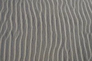 Lower Saxony Exterior View Prints: Sand structure, wind ripples, beach, Denmark