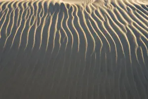 Deserted Danish Beach Prints: Sand structure, wind ripples, beach, Denmark