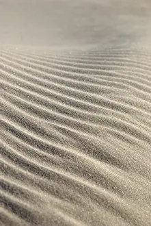 Scandinavian Nature Scene Prints: Sand structures, created by waves and wind