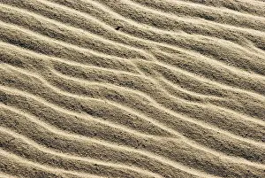 Scandinavian Nature Scene Prints: Sand structures, created by waves and wind