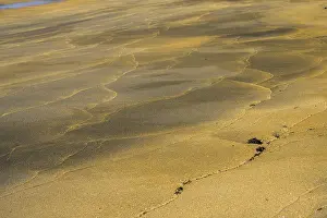 Icelandic Island State Prints: Sand Structures, Rauoasandur