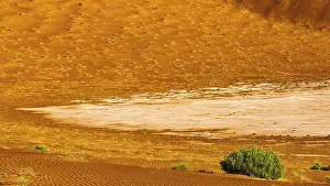 Empty Quarter Sand Dunes Prints: Sand structures shaped by the wind
