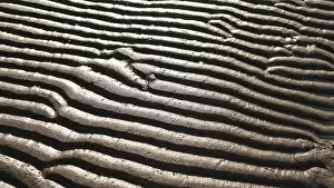 Wavelike Structure In Sand Prints: Sand waves abstract background