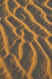 Prints of Sand waves, sand structure, evening light, Dakhlet Nouadhibou region, Mauritania Nouadhibou Prints: Sand Waves Print: Dakhlet Nouadhibou Region, Mauritania