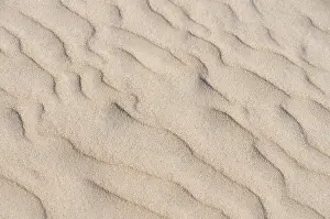 Wavy Sand Patterns Prints: Sand with wavy patterns, Norderney