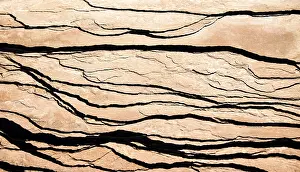Reddish Sandstone Rocks Prints: Sandstone rocks, structure, detail