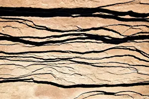 US National Park Landscapes Prints: Sandstone rocks, structure, detail