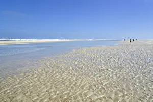 Sandy Beach Low Tide Prints: Sandy beach beach at low tide with wave-like pattern