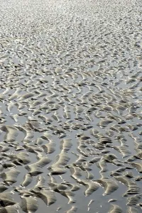 East Frisian Islands Prints: Sandy beach beach at low tide with wave-like pattern